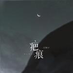 疤痕专辑