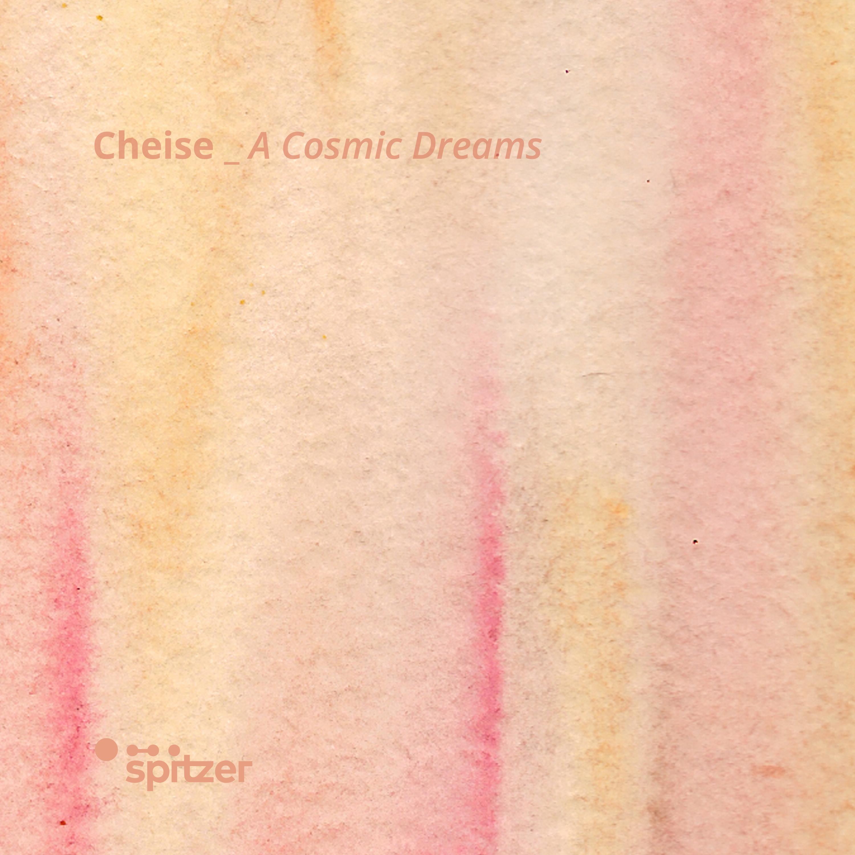 A Cosmic Dreams