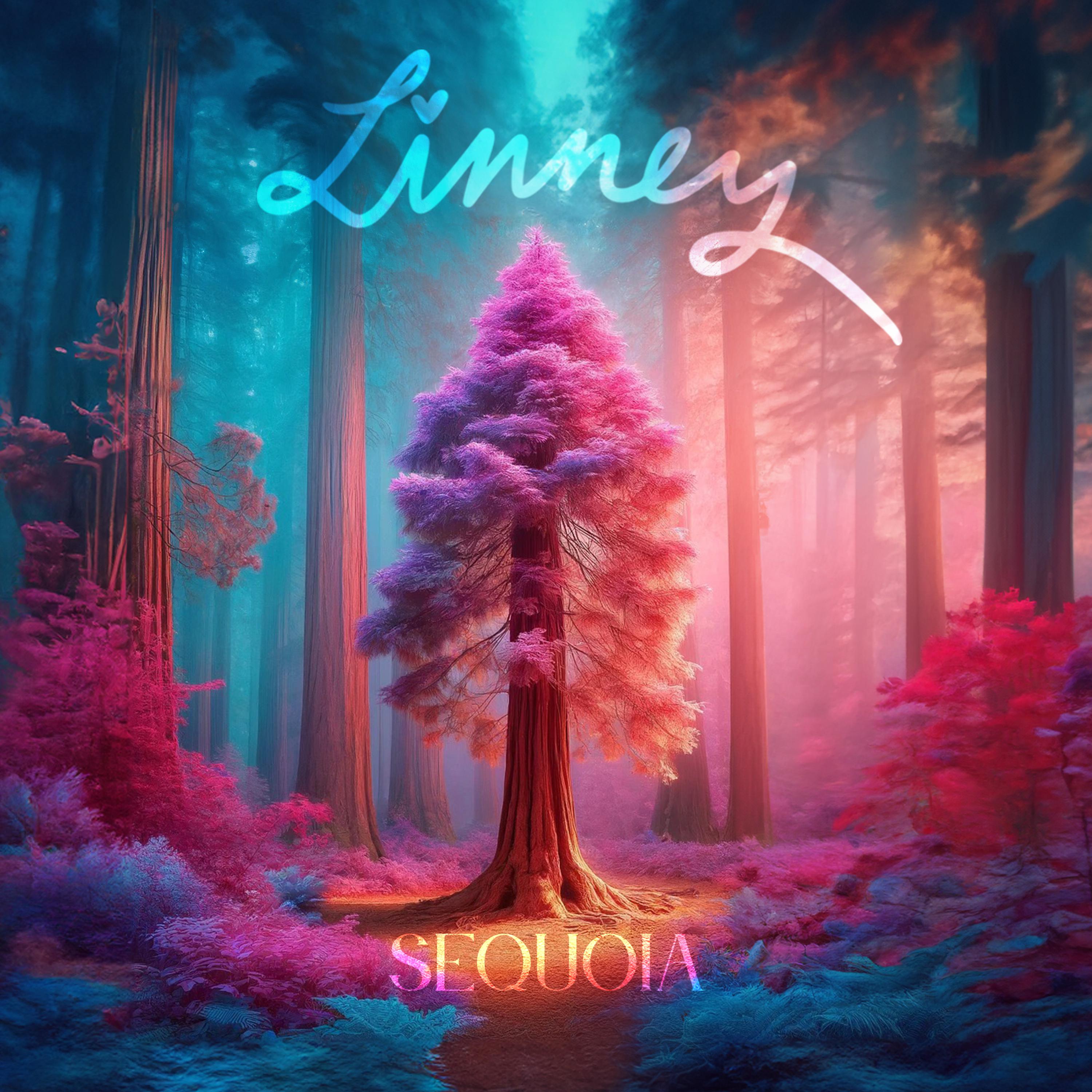 Linney - Sequoia