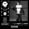 GONE 流失的愛