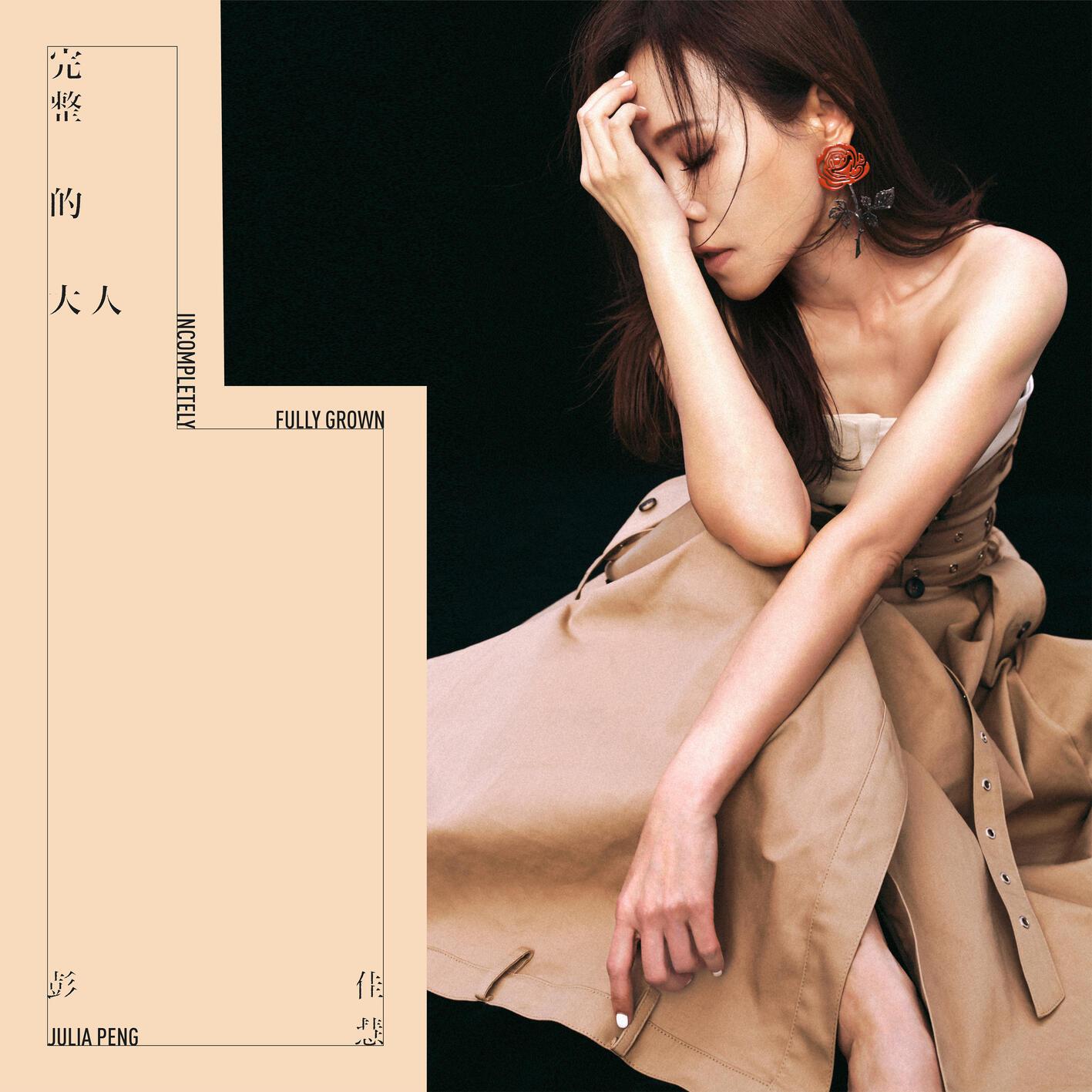 完整的大人专辑