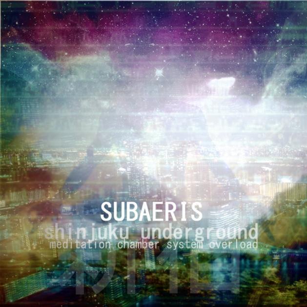 Shinjuku Underground - Meditation Chamber System Overload专辑