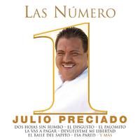 原版伴奏   Julio Preciado - Devuelveme Mi Libertad (karaoke)