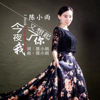 王馨 - 今夜我又想起你(原版立体声伴奏)