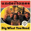 The Undertones - I'm Recommending Me (Paul Tipler Remix)