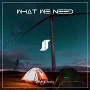 What We Need (Mike姜 Bootleg)