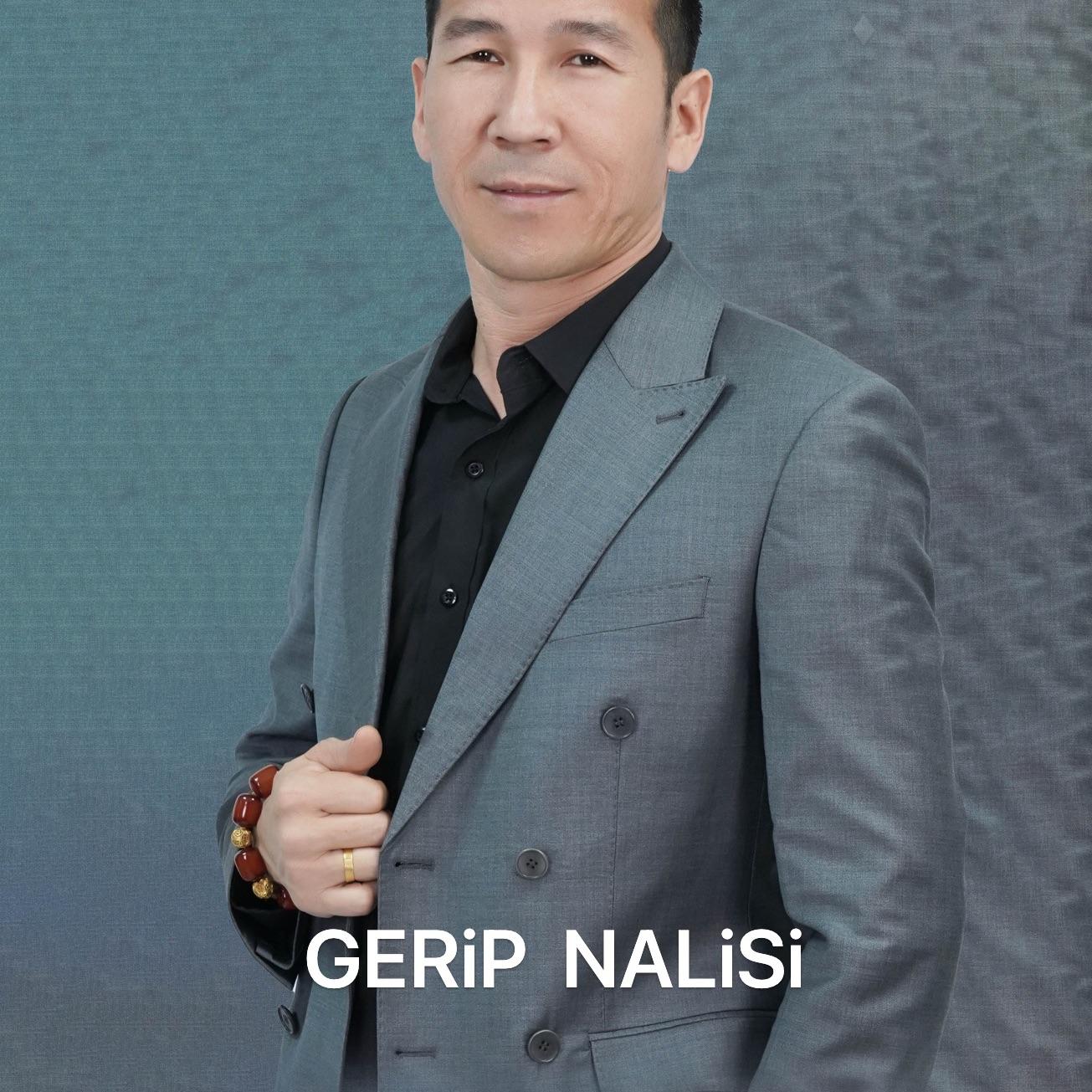 gerip nalisi