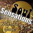 Soul Sensations: Marvin Gaye (Live)