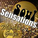 Soul Sensations: Marvin Gaye (Live)专辑