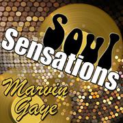 Soul Sensations: Marvin Gaye (Live)