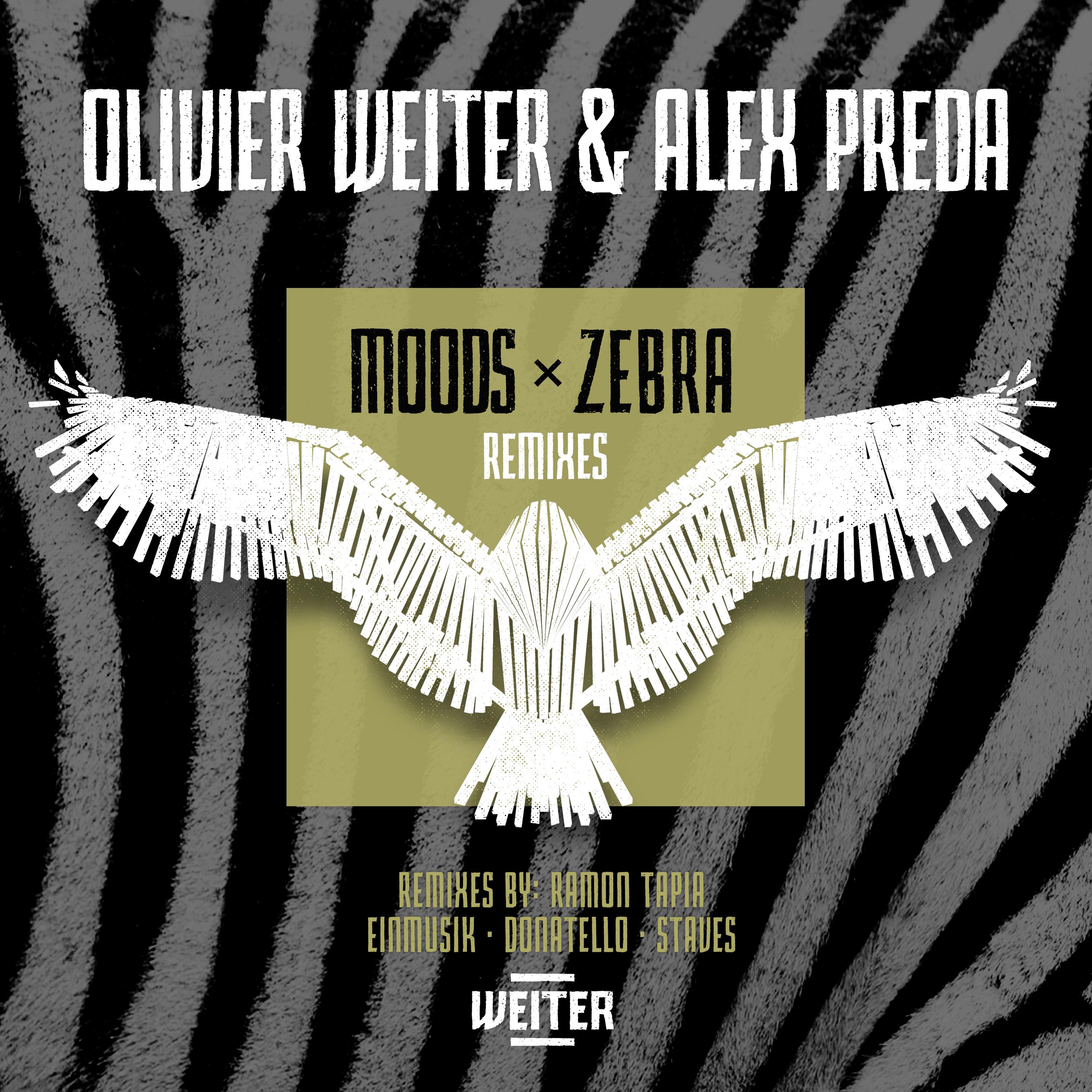 Moods x Zebra EP (Remixes)