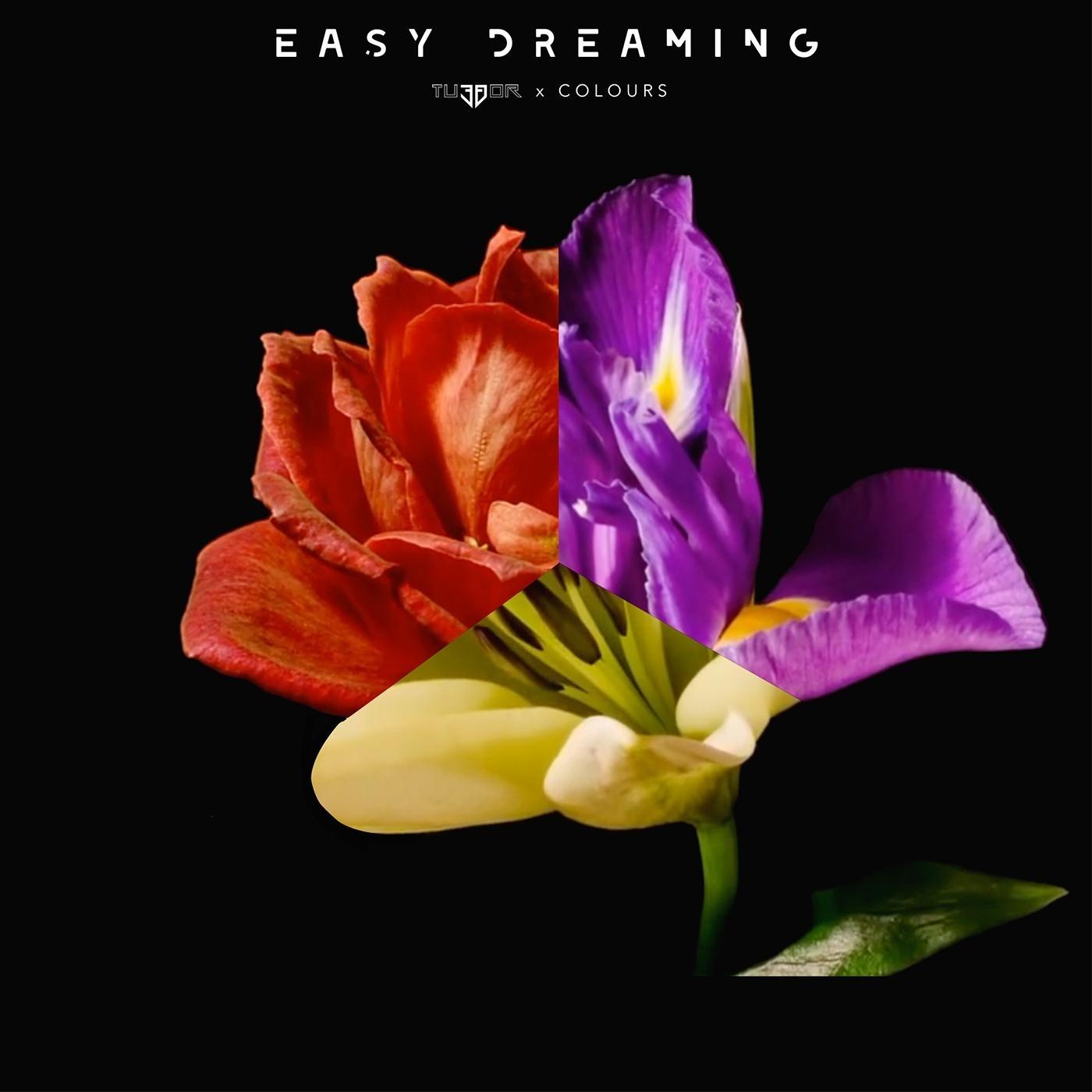 Easy Dreaming