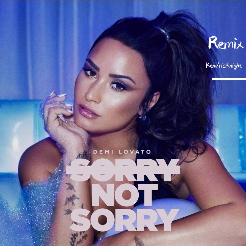 Sorry Not Sorry (Remix)