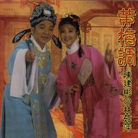问紫娟(越剧)(无情诚邀女声)