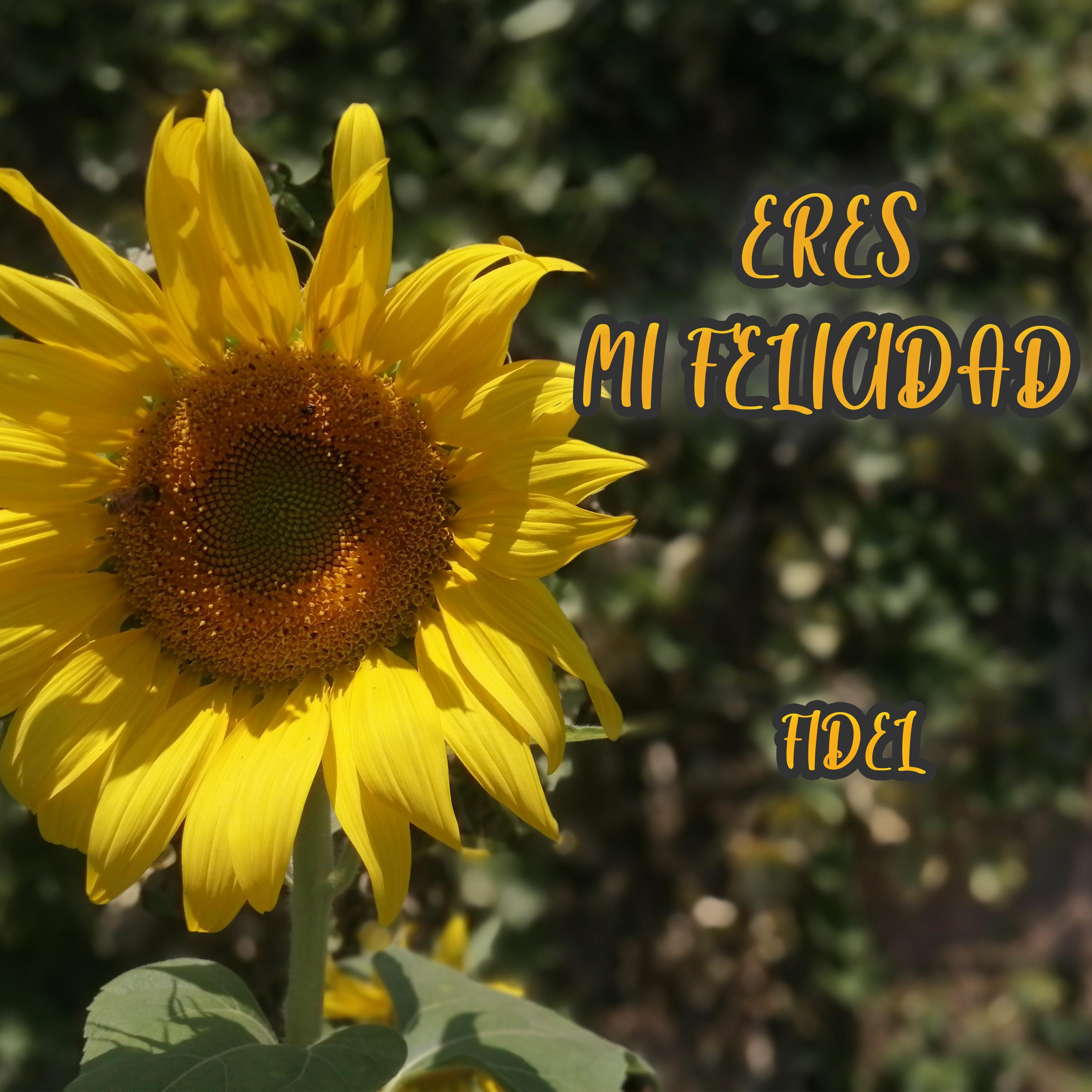 Eres Mi Felicidad