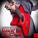 Stand Up, Sing it: Karaoke Collections专辑