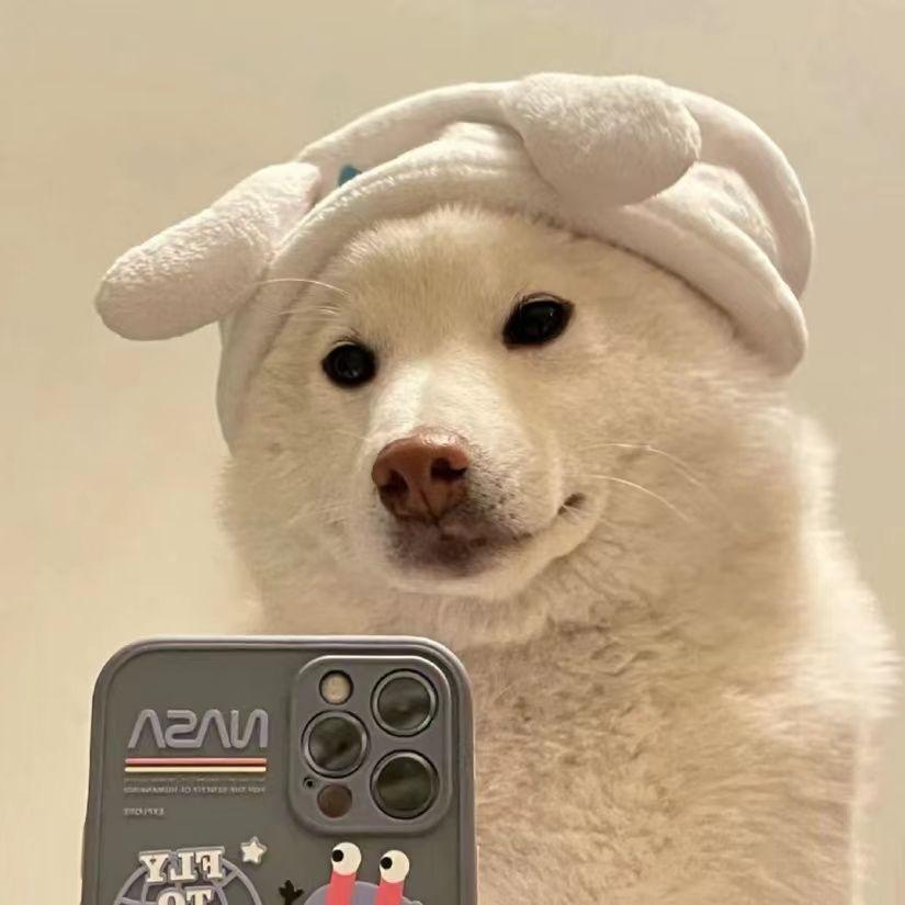 他她它