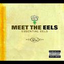 Meet The EELS: Essential EELS 1996-2006 Vol. 1专辑