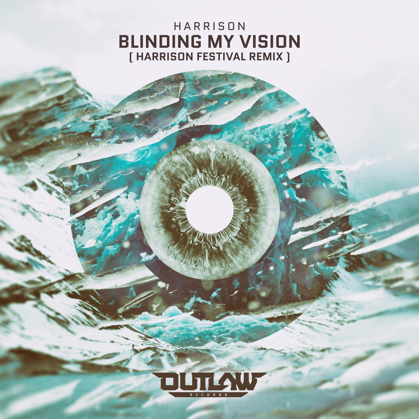Blinding My Vision (Harrison Festival Remix)专辑