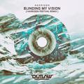 Blinding My Vision (Harrison Festival Remix)