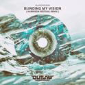 Blinding My Vision (Harrison Festival Remix)专辑