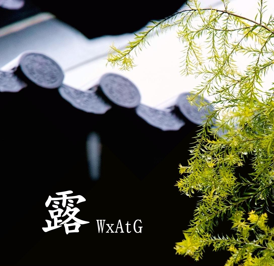 露专辑