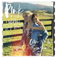 Cover Me In Sunshine - P!nk & Willow Sage Hart (PT Instrumental) 无和声伴奏