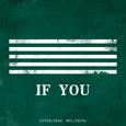 《D》 - IF YOU