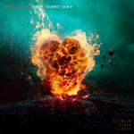 Hearts on Fire (Timmy Trumpet Remix)专辑