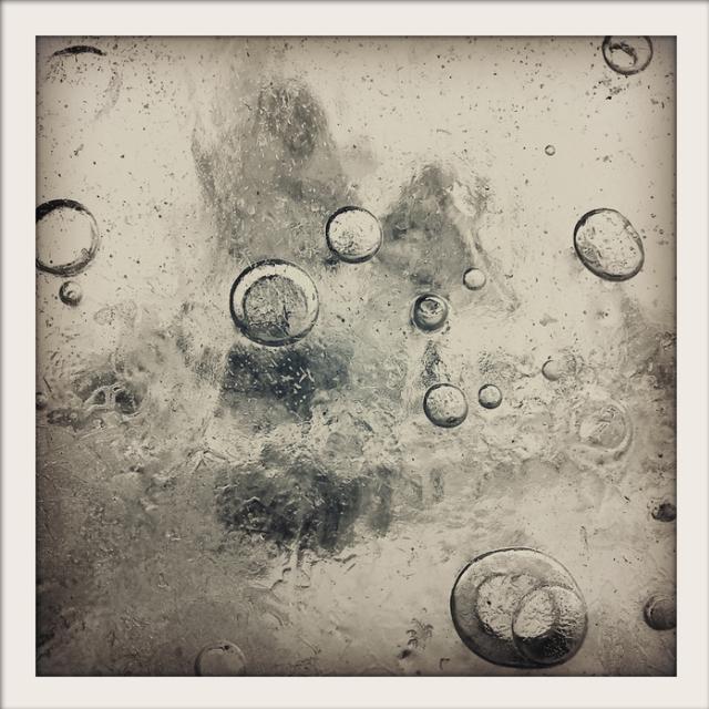 Nets of Wonder