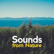 Sounds from Nature