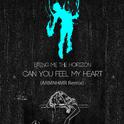 Can You Feel My Heart (ARMNHMR Remix)专辑