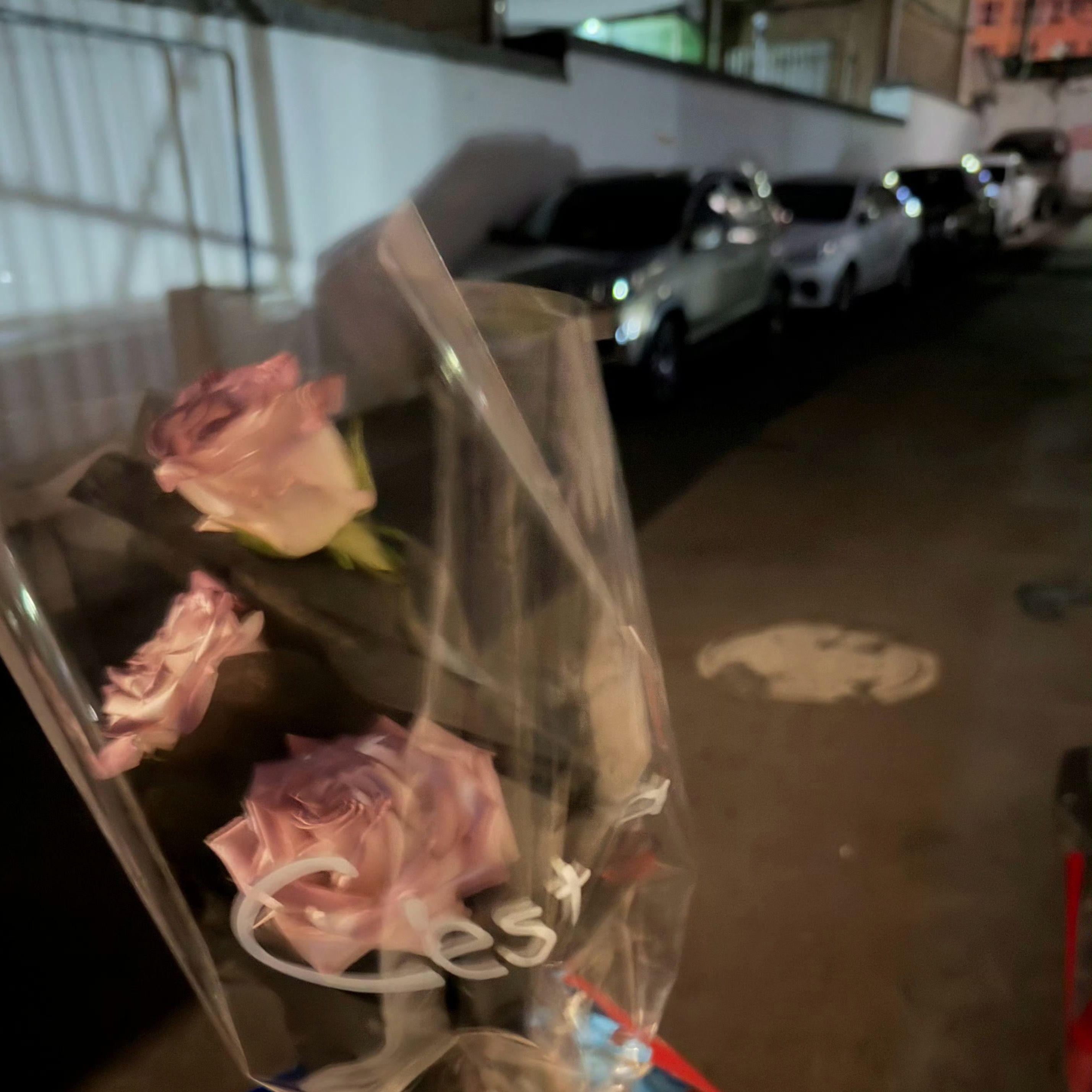 暗恋过 结局呢（SL）