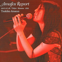 Amafes Report 2007专辑