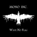 Wave No Flag