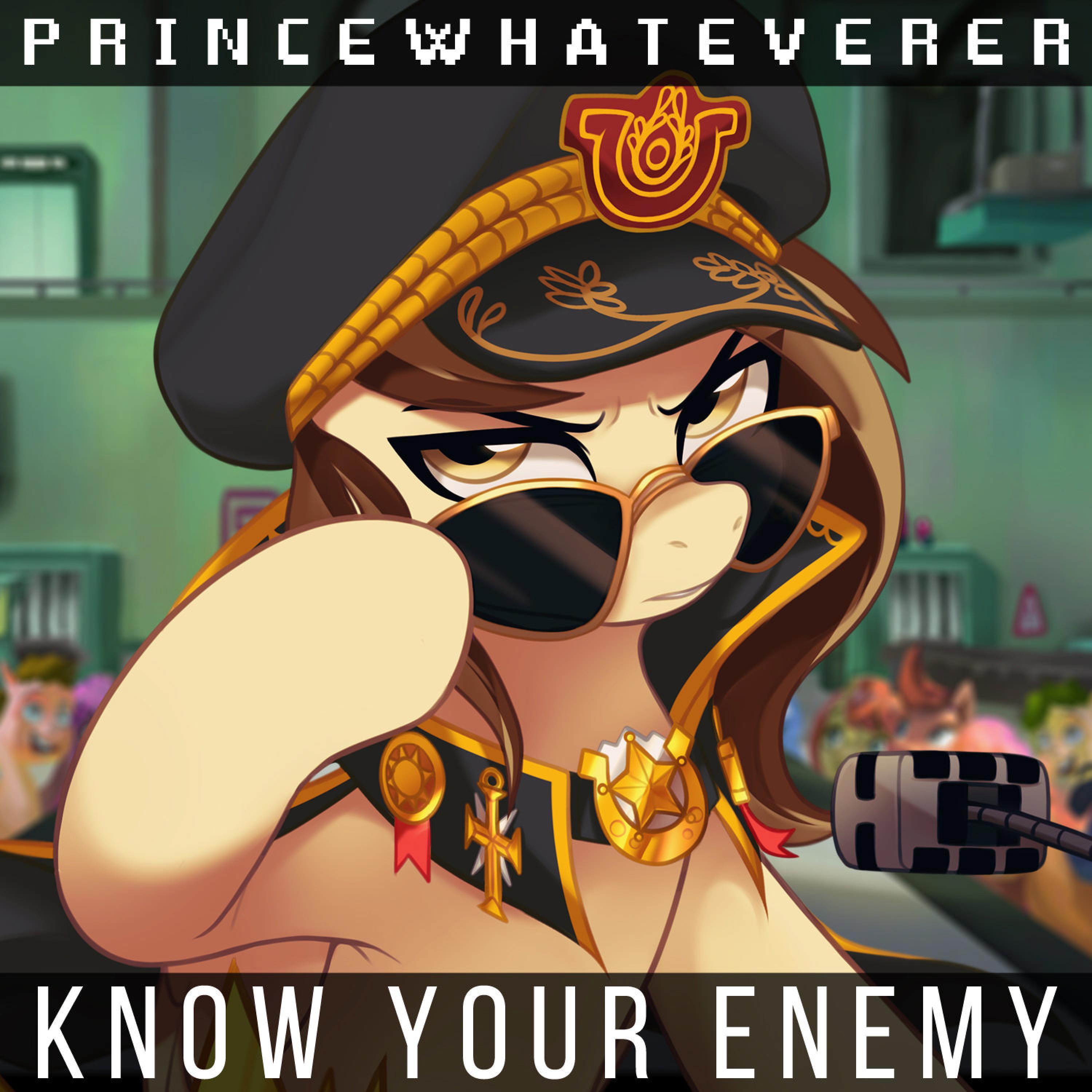 Know Your Enemy