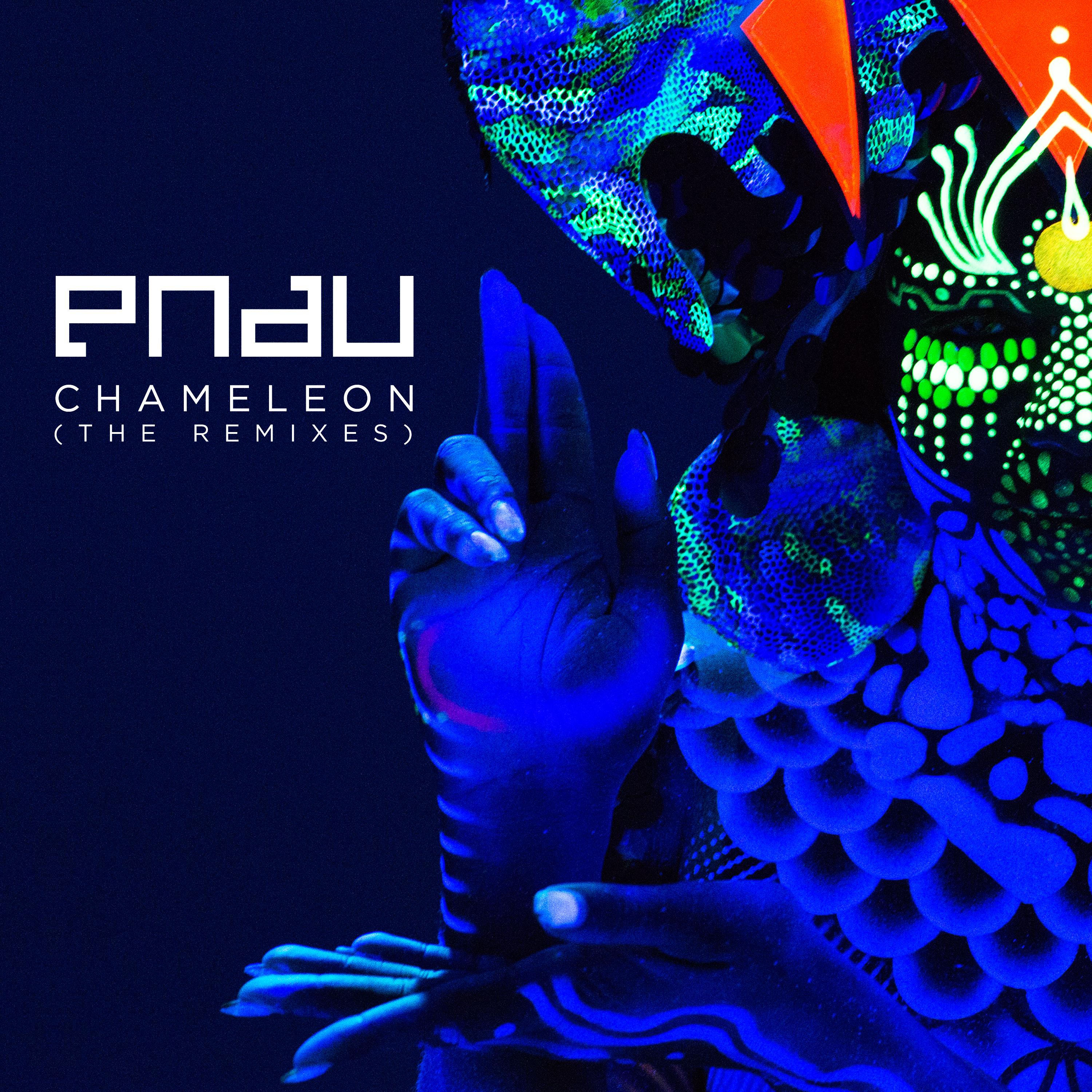 Chameleon (Remixes)