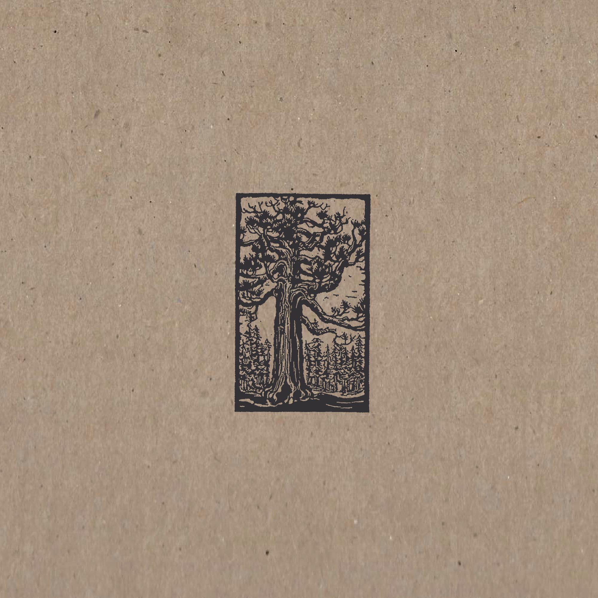 Confessions To An Early Summer Nightmare