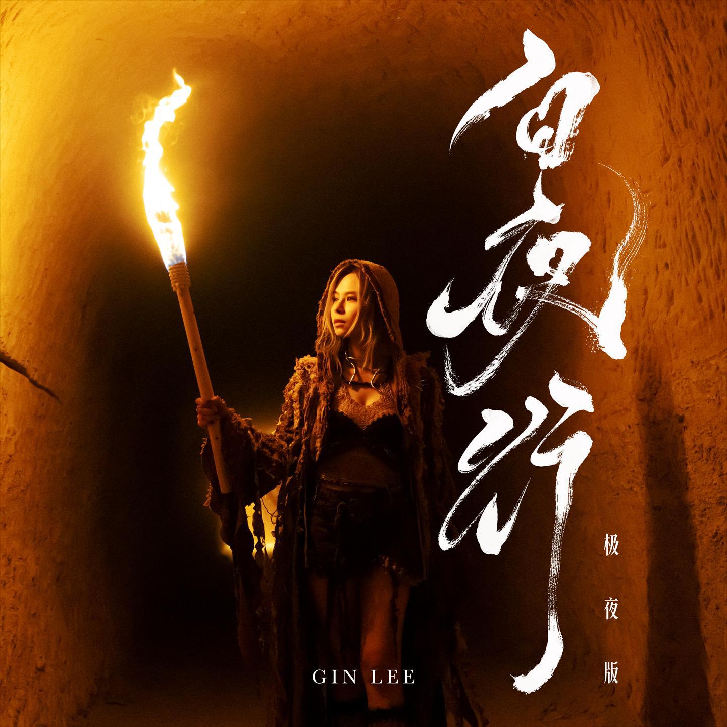 白夜行 (极夜版)专辑