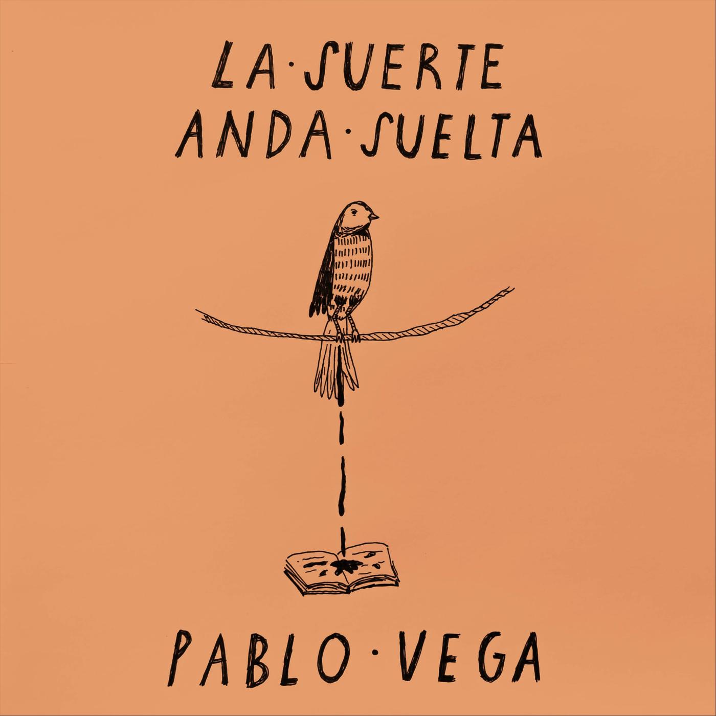 Pablo Vega - La Posibilidad