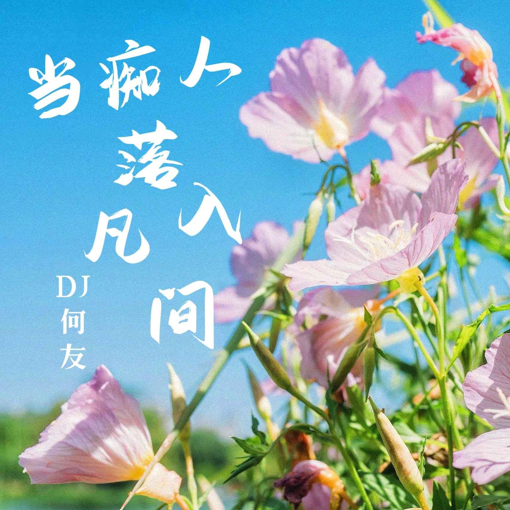 凯小晴、苏潇潇 - 当痴人落入凡间（DJ何友版）