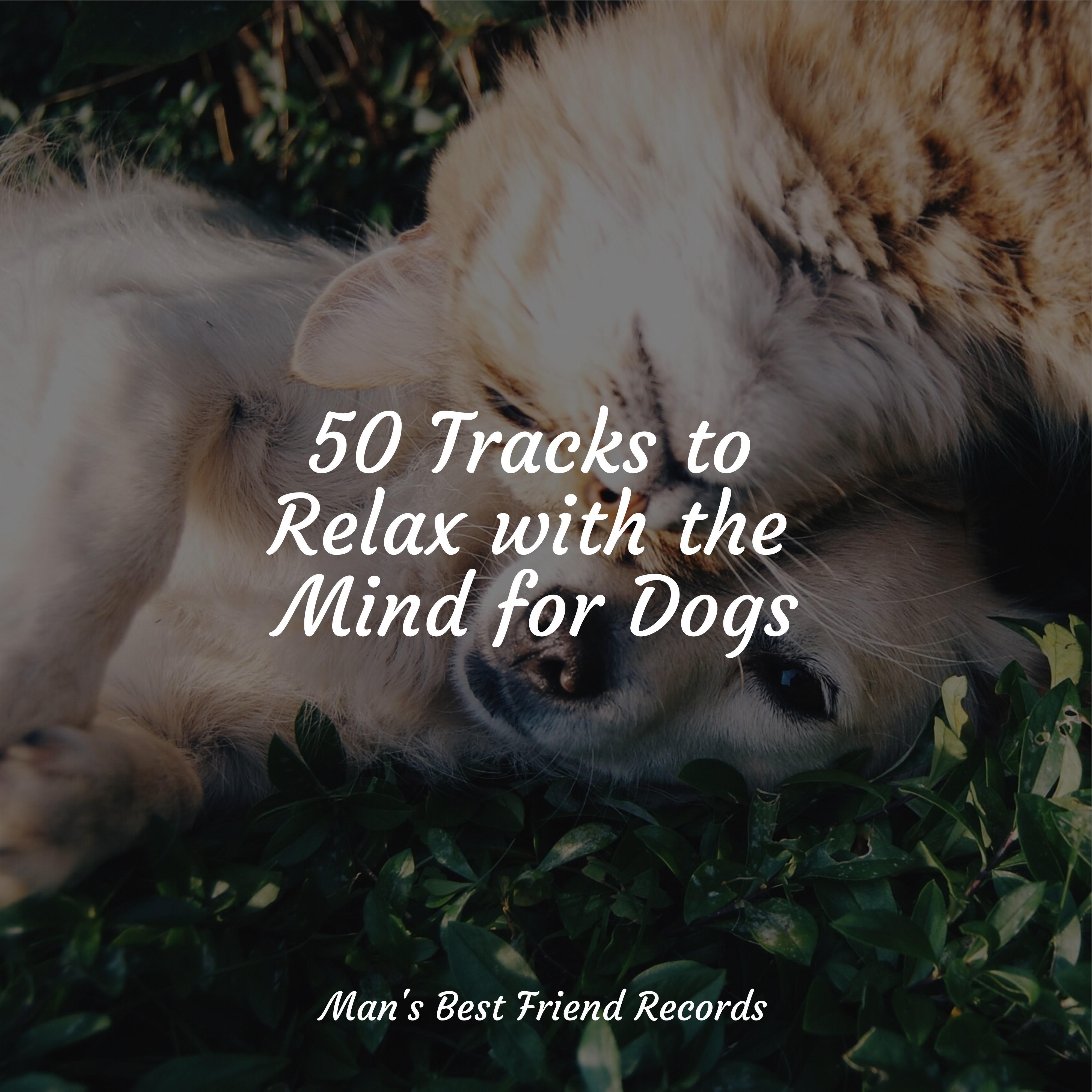 Music For Dogs Peace - At Ease