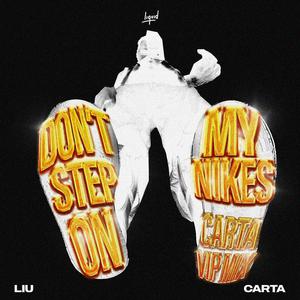 Liu、Carta - Don't Step On My Nikes(Carta VIP Mix) (和声伴唱)伴奏 （升4半音）