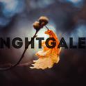 NGHTGALE