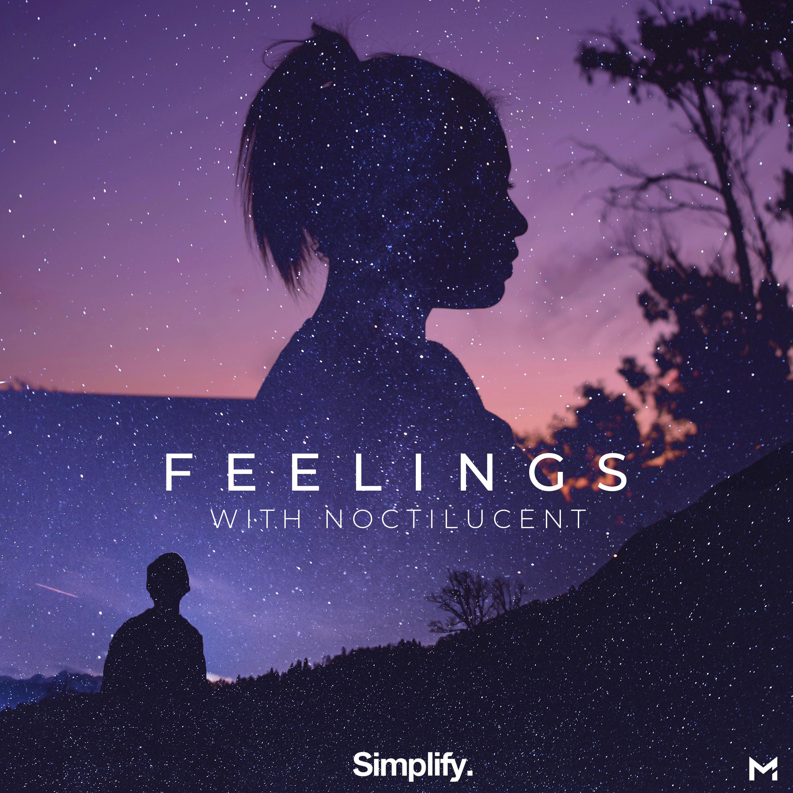 Feelings (feat. Noctilucent)