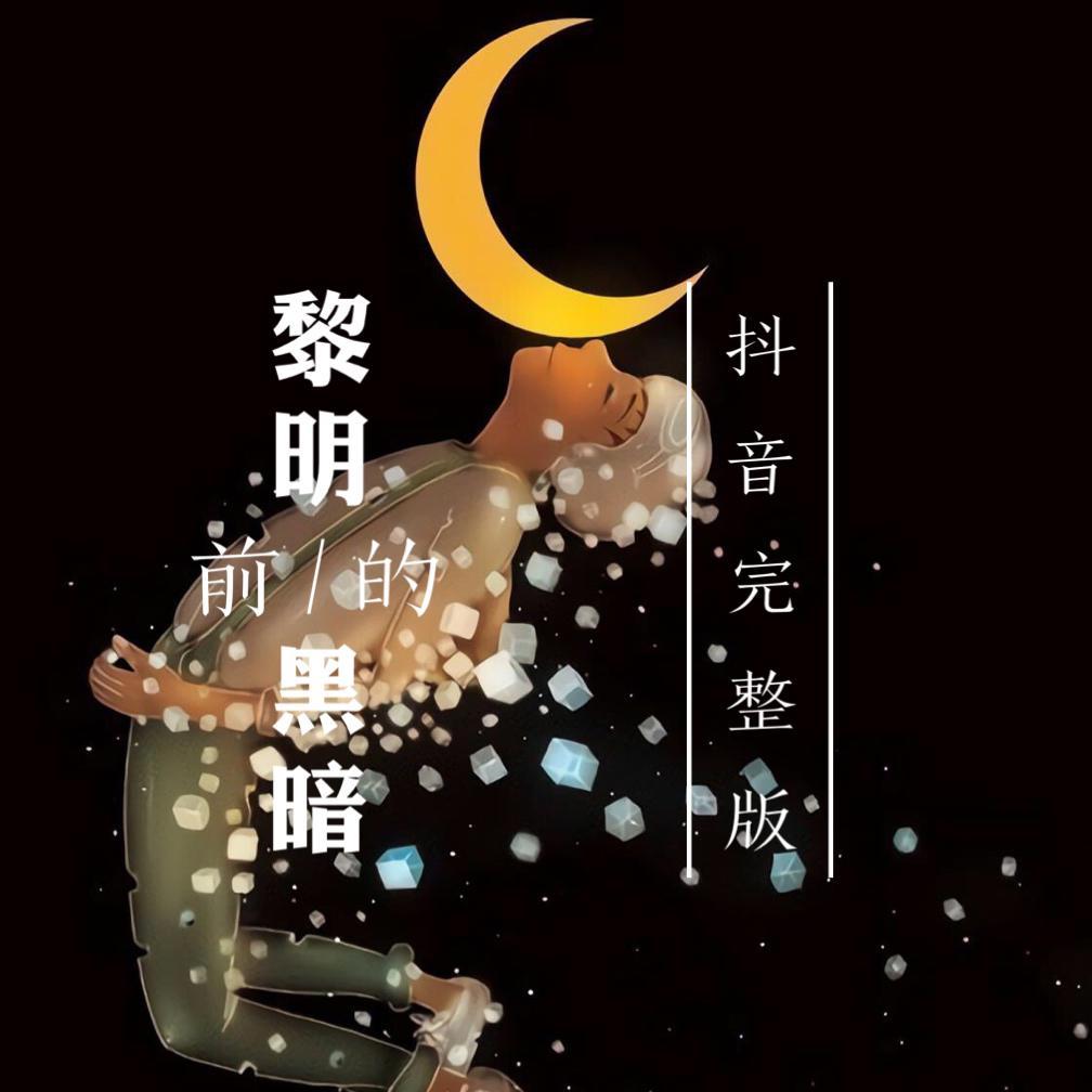 黎明前的黑暗dj(抖音完整版)(cover:名决)