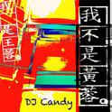 我不是黄蓉 (DJcandy Mix)专辑