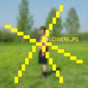 꽃6.jpg专辑