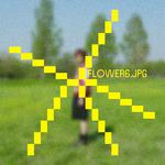 꽃6.jpg专辑