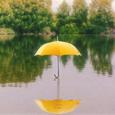 One umbrella, two hearts (휴이(Huie) X Forest Notes)